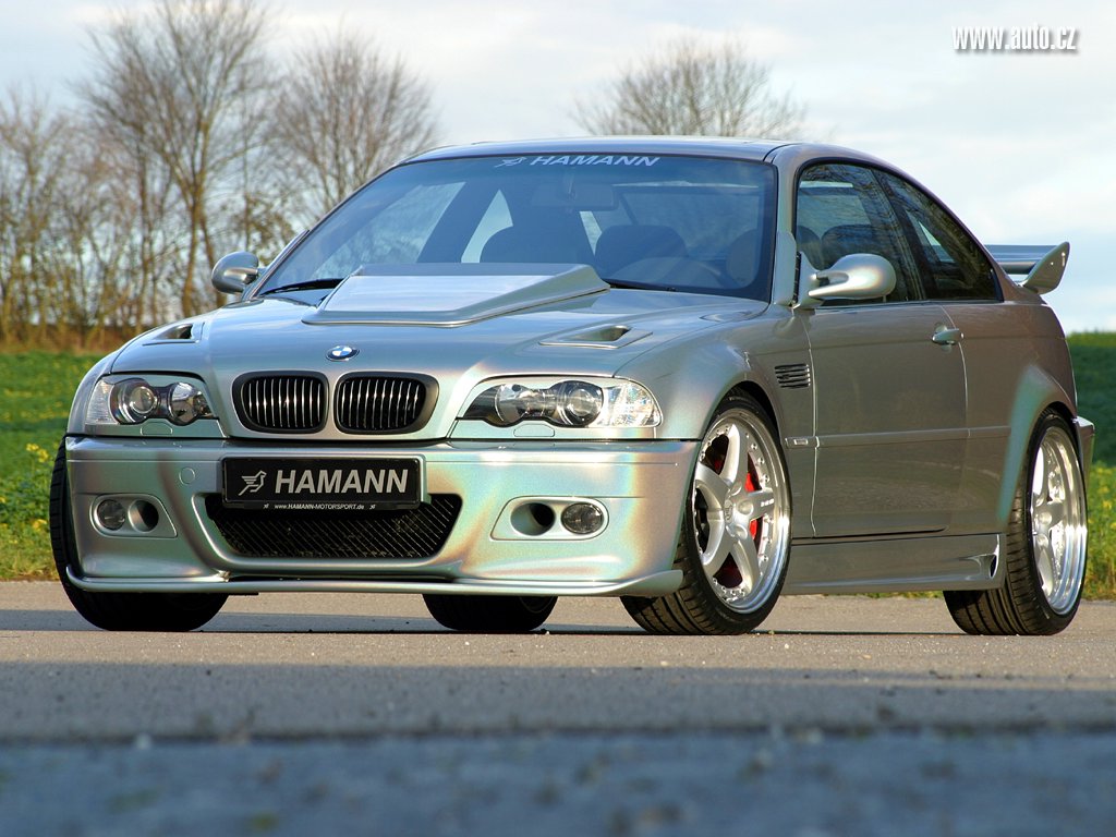 HAMANN_2_.jpg